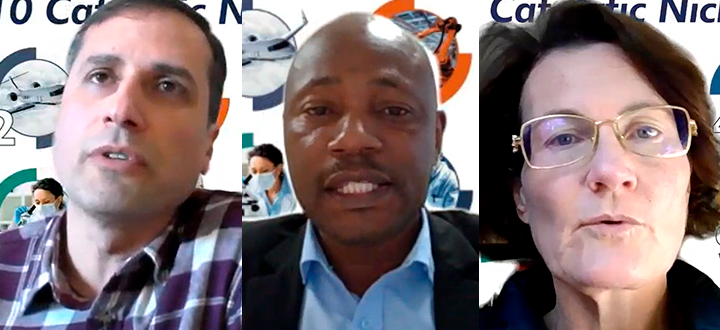 Reflecting on the Unisa catalytic niche areas' interconnectedness